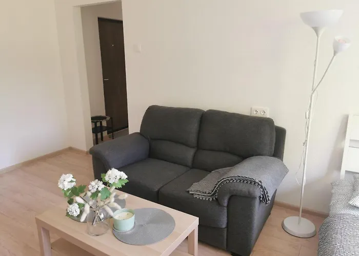 Apartament Modern Debreceno, Self-check-in, Free Parking Kłajpeda
